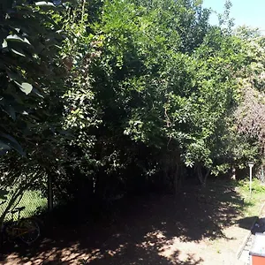 La Casa Di Mango E Pistacchio Affittacamere