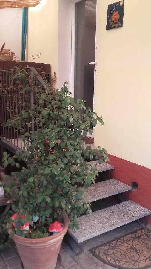 B&B La Sciguetta Magenta