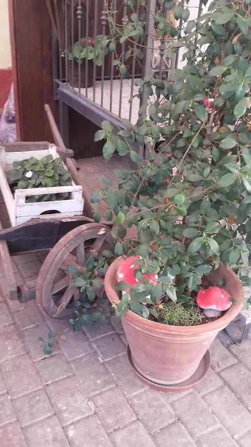 B&B La Sciguetta Magenta 0*,